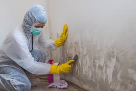 Best Industrial Mold Remediation  in Aberdeen, ID